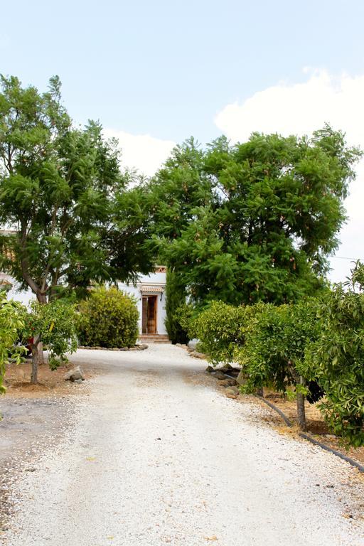 Casita Naranja Villa Alora Bilik gambar
